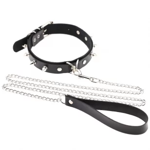 Collar and leash