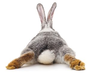Read more about the article Meilleur lubrifiant pour le sexe anal : guide complet pour plus de confort et de plaisir