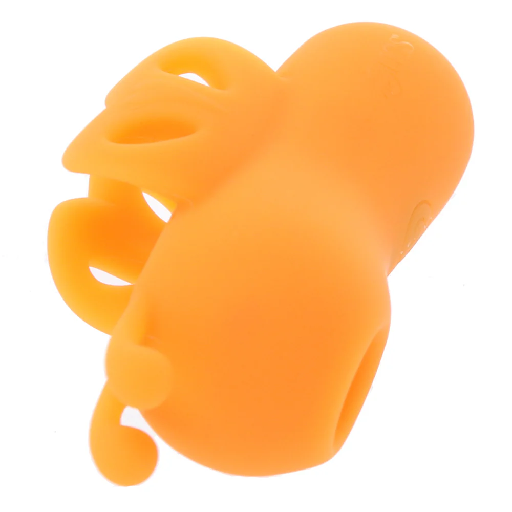 Son format de 3 po x 1,75 po / 7,5 cm x 4,5 cm le rend simple à manipuler.