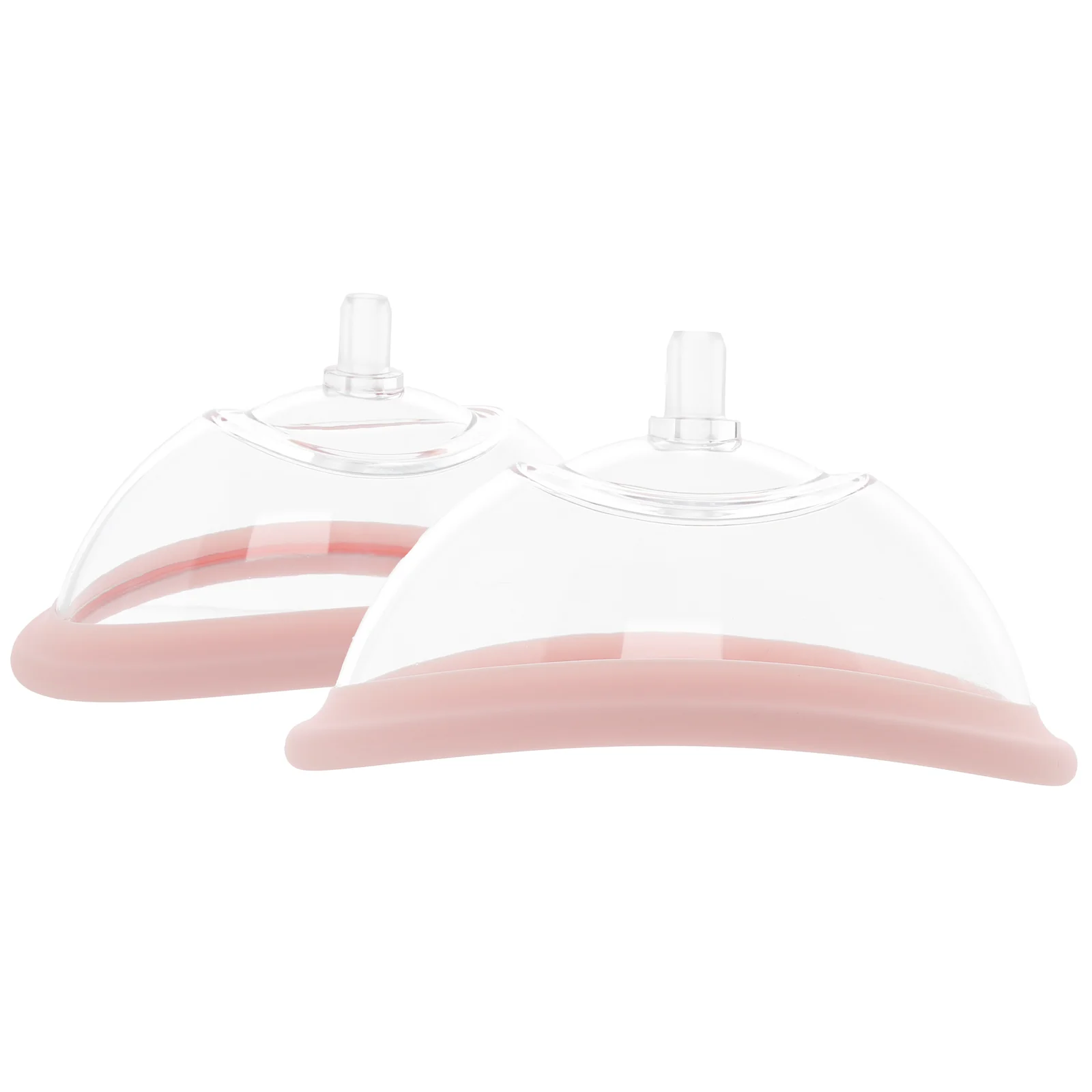 Two clear cups for the vulva and the breasts.